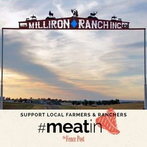 Meet your Posher, Bond